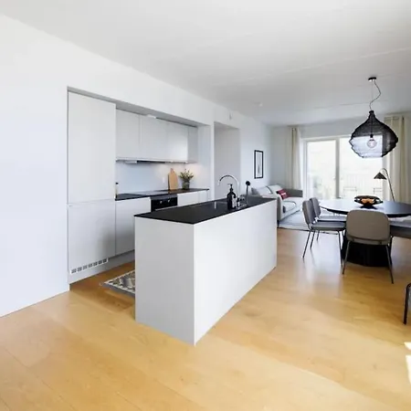 Delux Danish 2024 3bedrooms And 2 Bathrooms Apartament Kopenhaga